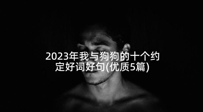 2023年我与狗狗的十个约定好词好句(优质5篇)