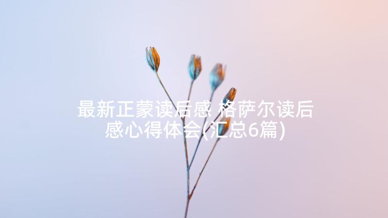 最新正蒙读后感 格萨尔读后感心得体会(汇总6篇)