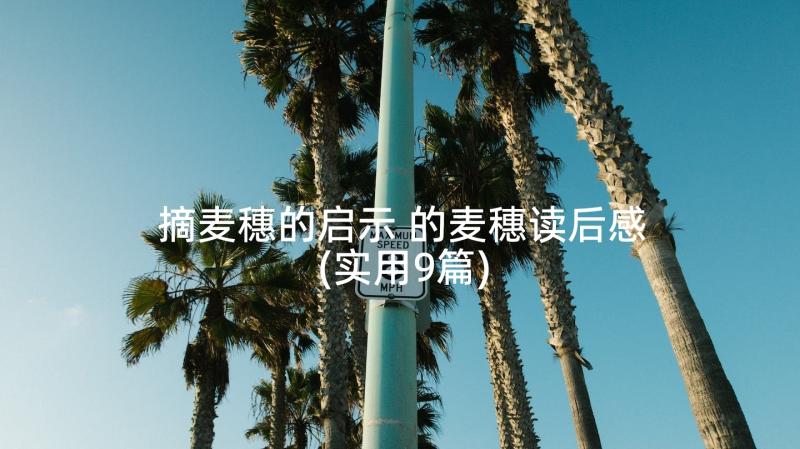 摘麦穗的启示 的麦穗读后感(实用9篇)