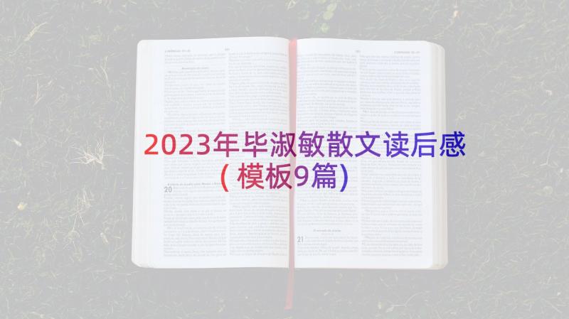 2023年毕淑敏散文读后感(模板9篇)