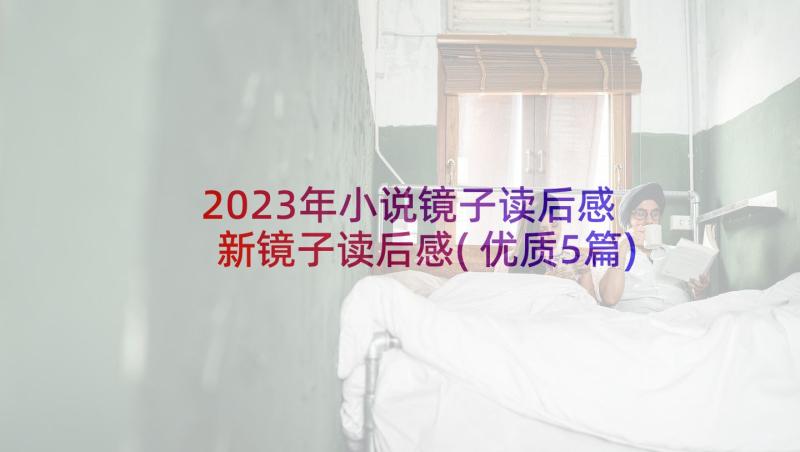 2023年小说镜子读后感 新镜子读后感(优质5篇)