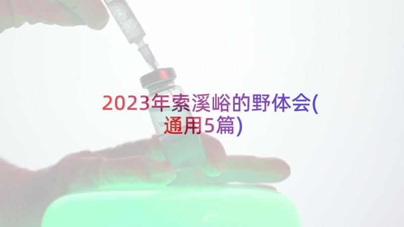 2023年索溪峪的野体会(通用5篇)