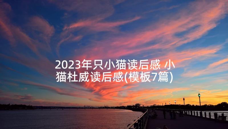 2023年只小猫读后感 小猫杜威读后感(模板7篇)