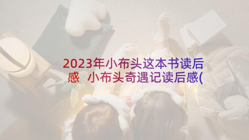 2023年小布头这本书读后感 小布头奇遇记读后感(优质9篇)