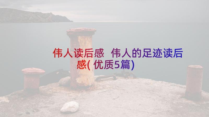 伟人读后感 伟人的足迹读后感(优质5篇)