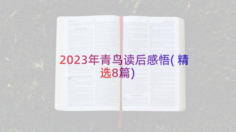 2023年青鸟读后感悟(精选8篇)