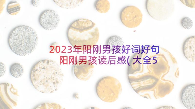 2023年阳刚男孩好词好句 阳刚男孩读后感(大全5篇)