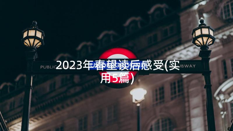 2023年春望读后感受(实用5篇)