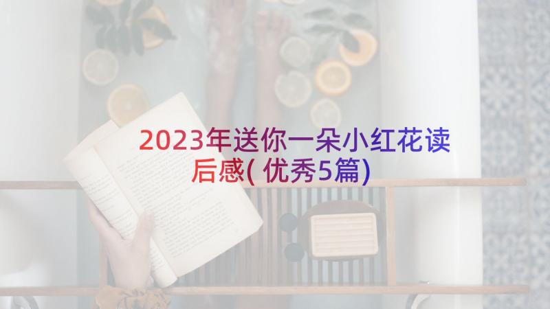 2023年送你一朵小红花读后感(优秀5篇)