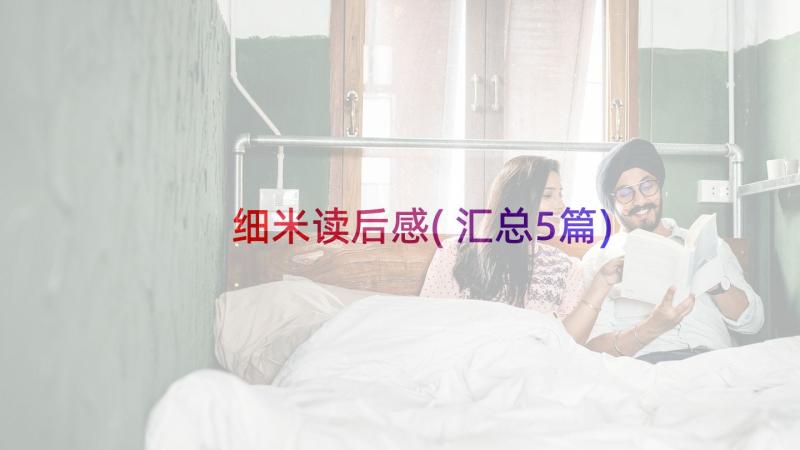 细米读后感(汇总5篇)