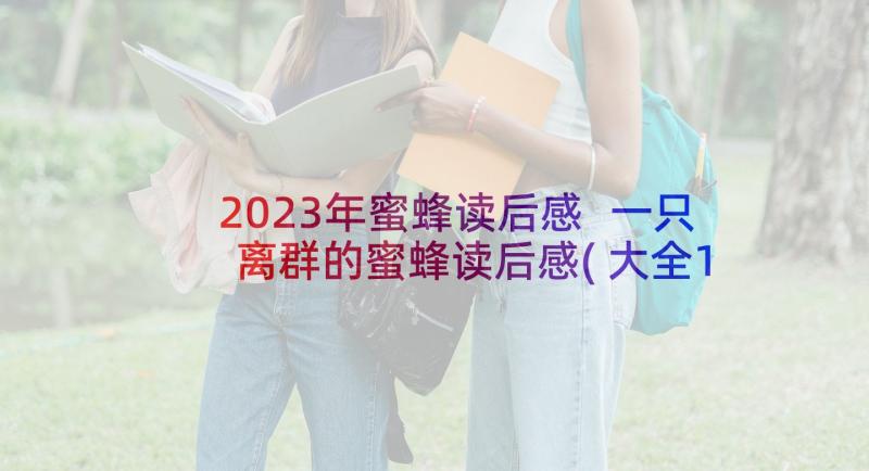 2023年蜜蜂读后感 一只离群的蜜蜂读后感(大全10篇)