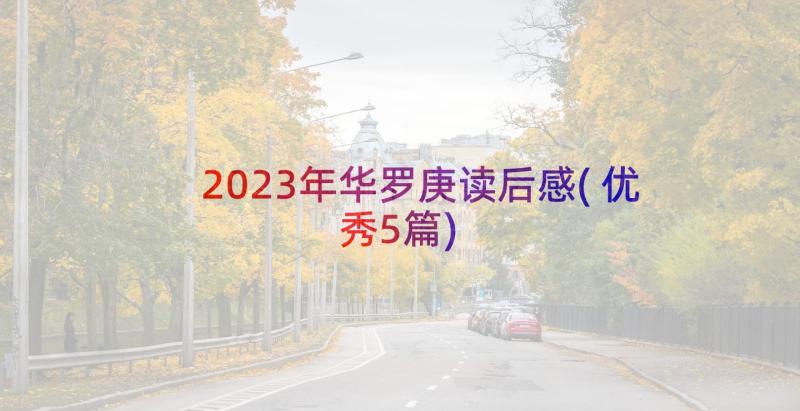 2023年华罗庚读后感(优秀5篇)