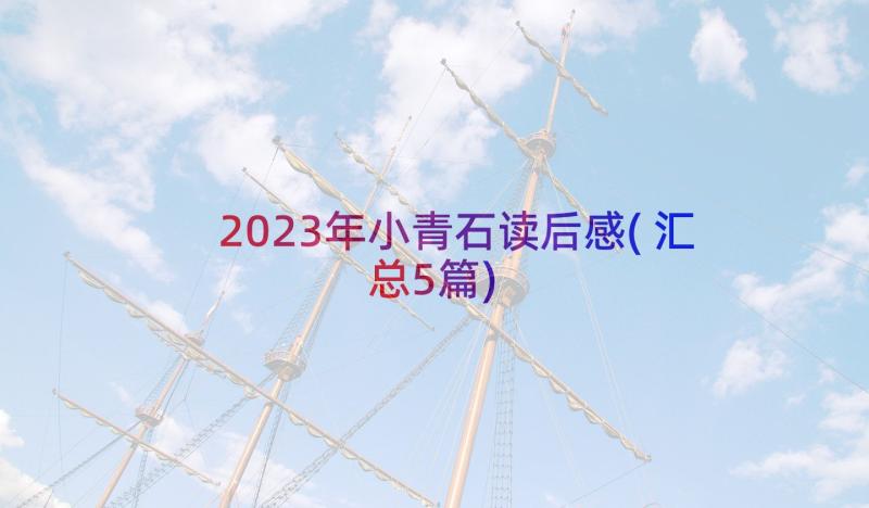 2023年小青石读后感(汇总5篇)