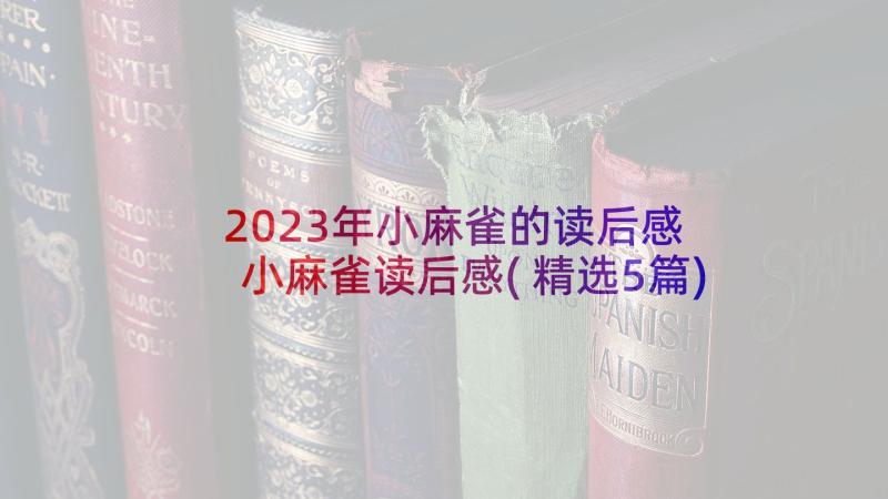 2023年小麻雀的读后感 小麻雀读后感(精选5篇)