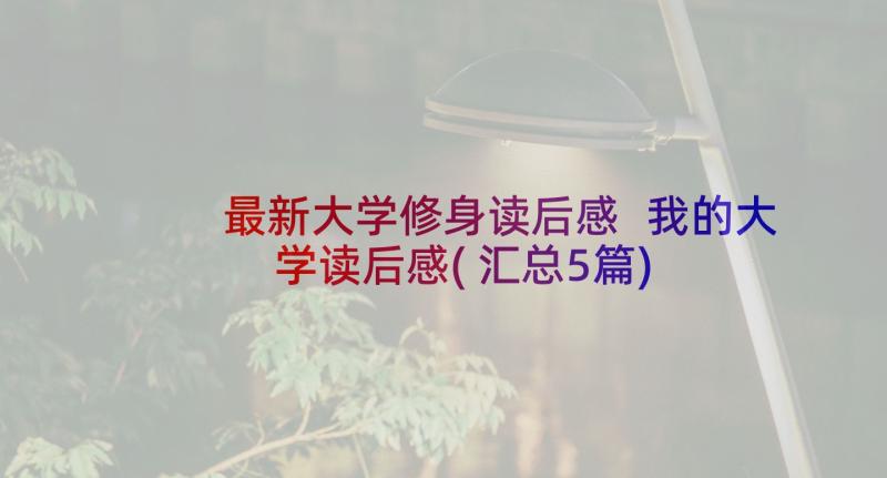 最新大学修身读后感 我的大学读后感(汇总5篇)