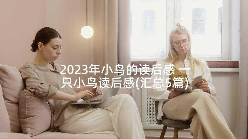 2023年小鸟的读后感 一只小鸟读后感(汇总5篇)