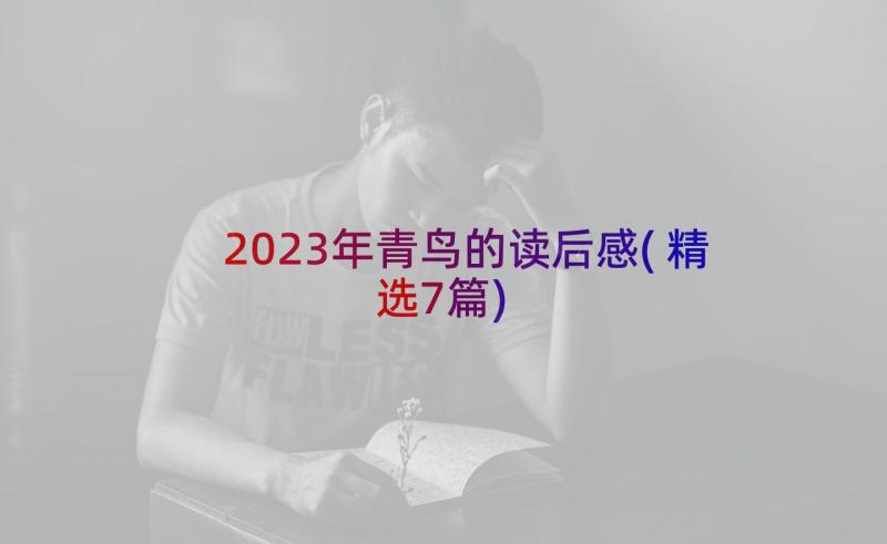 2023年青鸟的读后感(精选7篇)