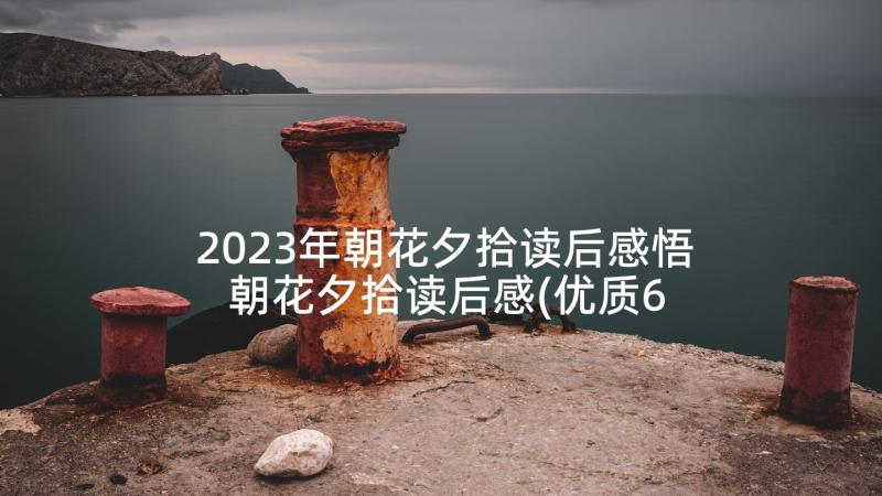 2023年朝花夕拾读后感悟 朝花夕拾读后感(优质6篇)