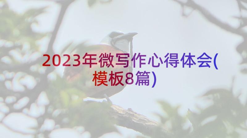 2023年微写作心得体会(模板8篇)