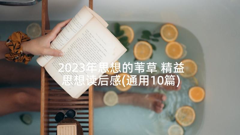2023年思想的苇草 精益思想读后感(通用10篇)