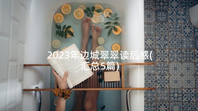 2023年边城翠翠读后感(汇总5篇)