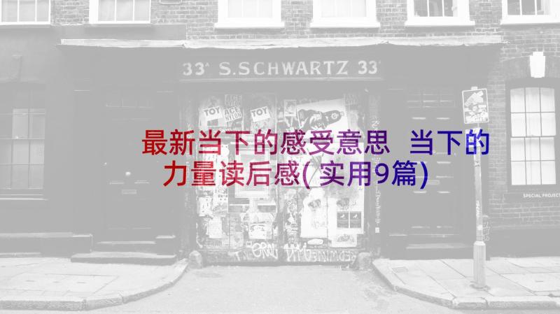 最新当下的感受意思 当下的力量读后感(实用9篇)