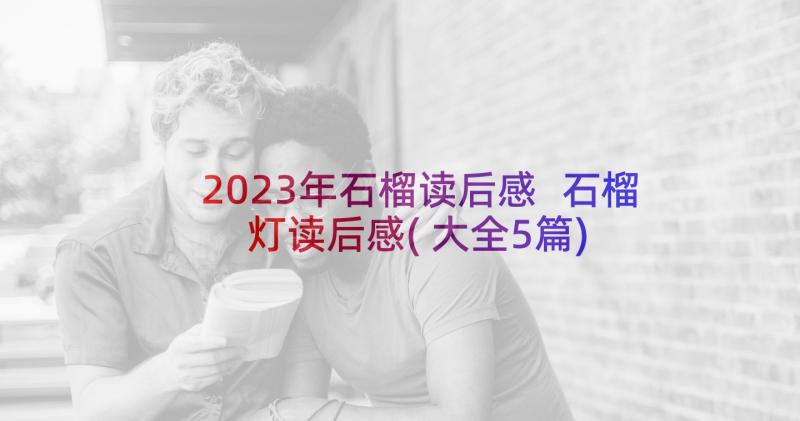 2023年石榴读后感 石榴灯读后感(大全5篇)