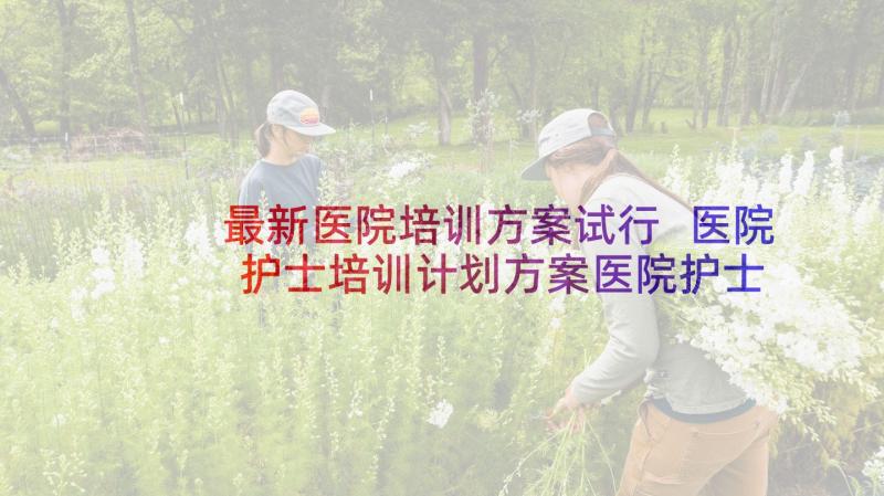 最新医院培训方案试行 医院护士培训计划方案医院护士培训内容(大全5篇)