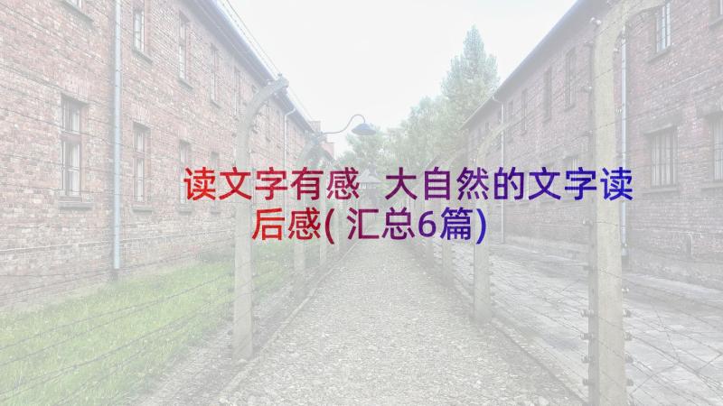 读文字有感 大自然的文字读后感(汇总6篇)