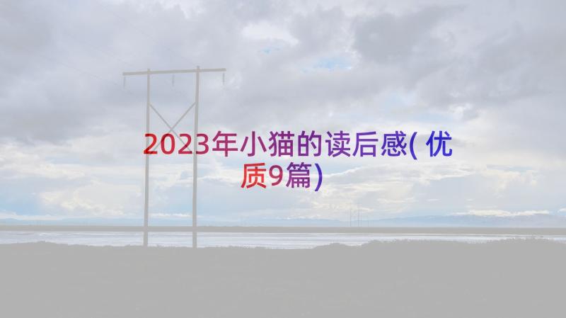 2023年小猫的读后感(优质9篇)