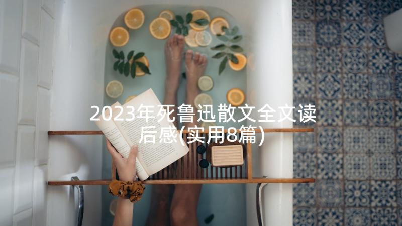 2023年死鲁迅散文全文读后感(实用8篇)