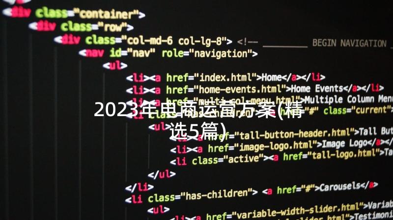 2023年电商运营方案(精选5篇)