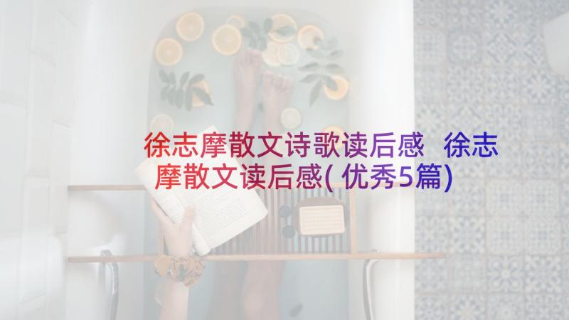 徐志摩散文诗歌读后感 徐志摩散文读后感(优秀5篇)