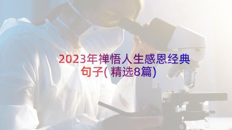 2023年禅悟人生感恩经典句子(精选8篇)