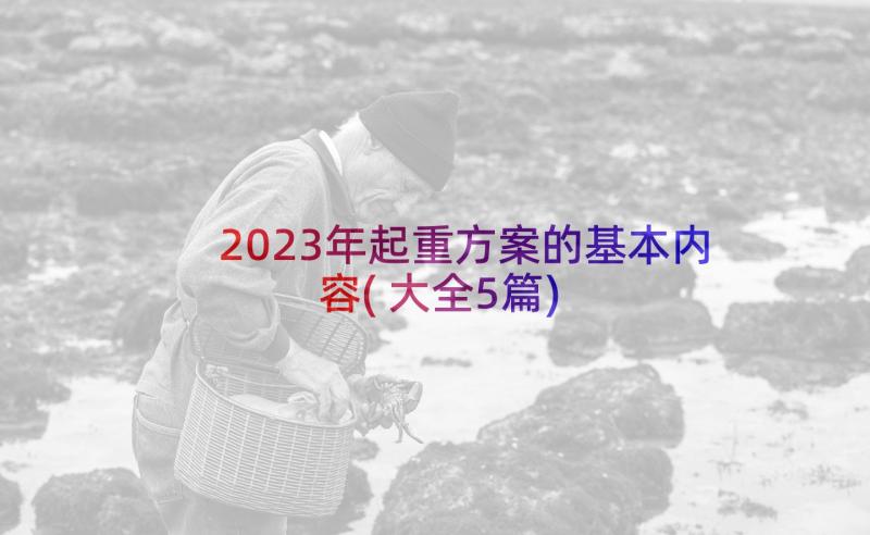 2023年起重方案的基本内容(大全5篇)