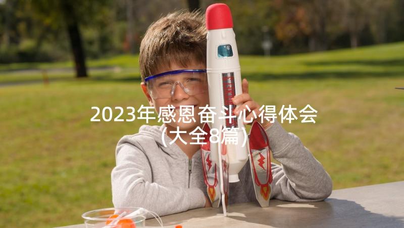 2023年感恩奋斗心得体会(大全8篇)