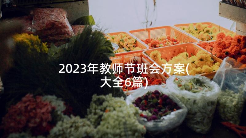 2023年教师节班会方案(大全6篇)