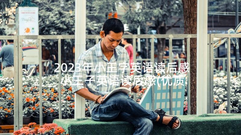 2023年小王字英语读后感 小王子英语读后感(优质5篇)