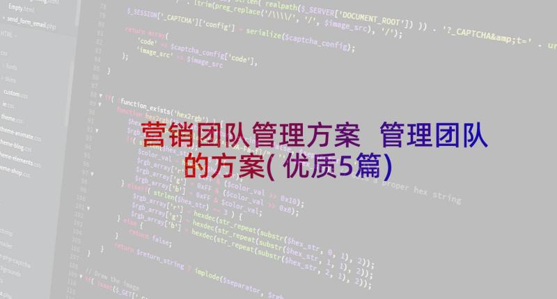 营销团队管理方案 管理团队的方案(优质5篇)