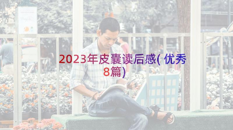 2023年皮囊读后感(优秀8篇)