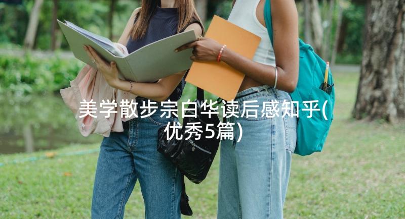 美学散步宗白华读后感知乎(优秀5篇)