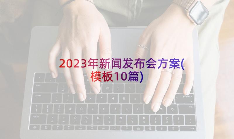 2023年新闻发布会方案(模板10篇)