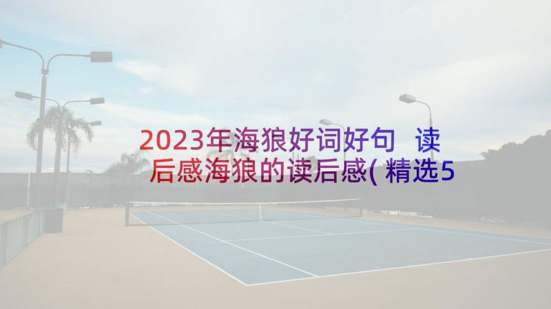 2023年海狼好词好句 读后感海狼的读后感(精选5篇)