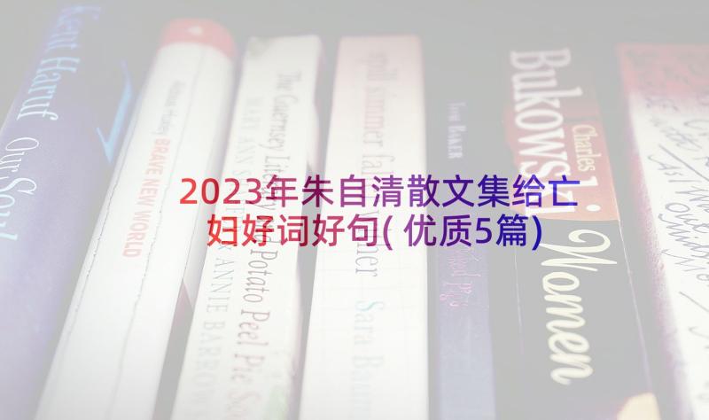 2023年朱自清散文集给亡妇好词好句(优质5篇)