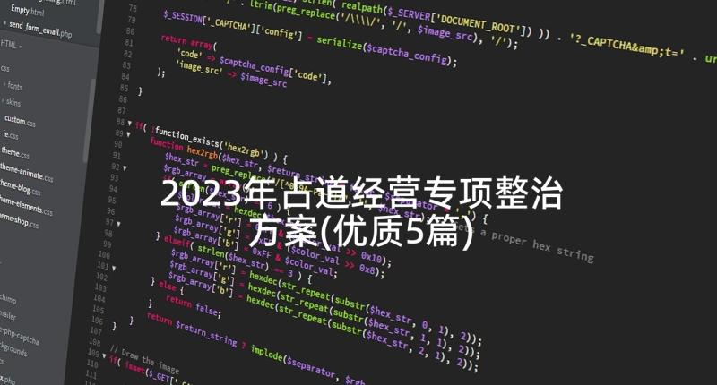 2023年占道经营专项整治方案(优质5篇)