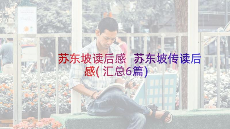 苏东坡读后感 苏东坡传读后感(汇总6篇)