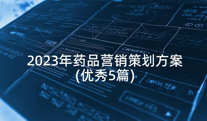 2023年药品营销策划方案(优秀5篇)