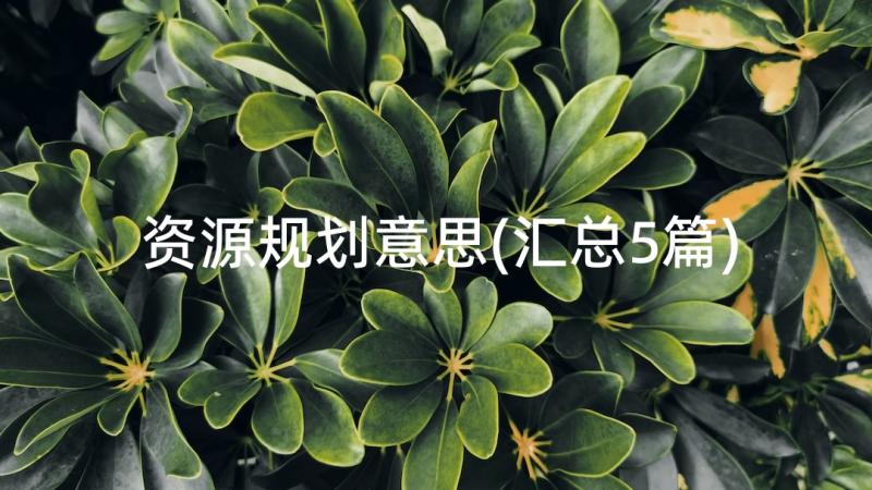 资源规划意思(汇总5篇)