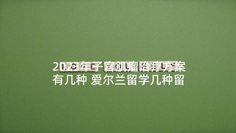 2023年子宫肌瘤治疗方案有几种 爱尔兰留学几种留学方案介绍(优质5篇)