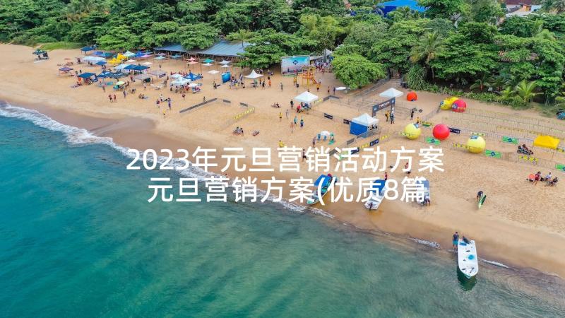 2023年元旦营销活动方案 元旦营销方案(优质8篇)